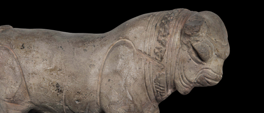 Bull: The Gentle Giant of Mohenjo-Daro