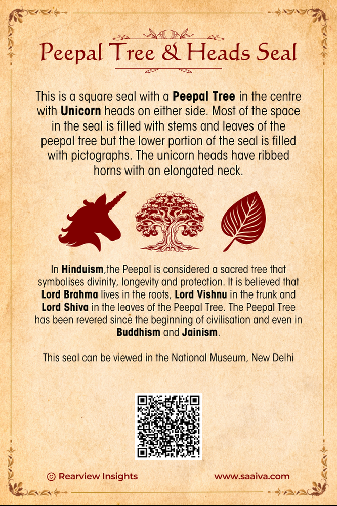 Treasures of the Lost Valley: Uncovering Indus Secrets Collection