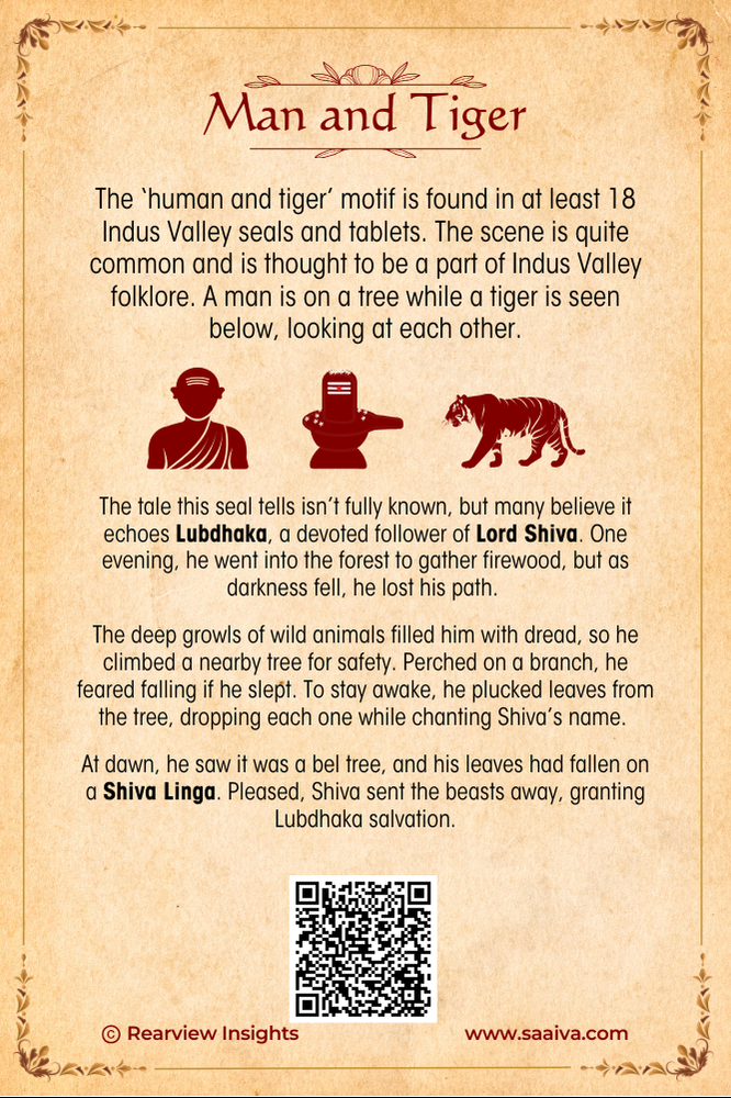 Treasures of the Lost Valley: Uncovering Indus Secrets Collection