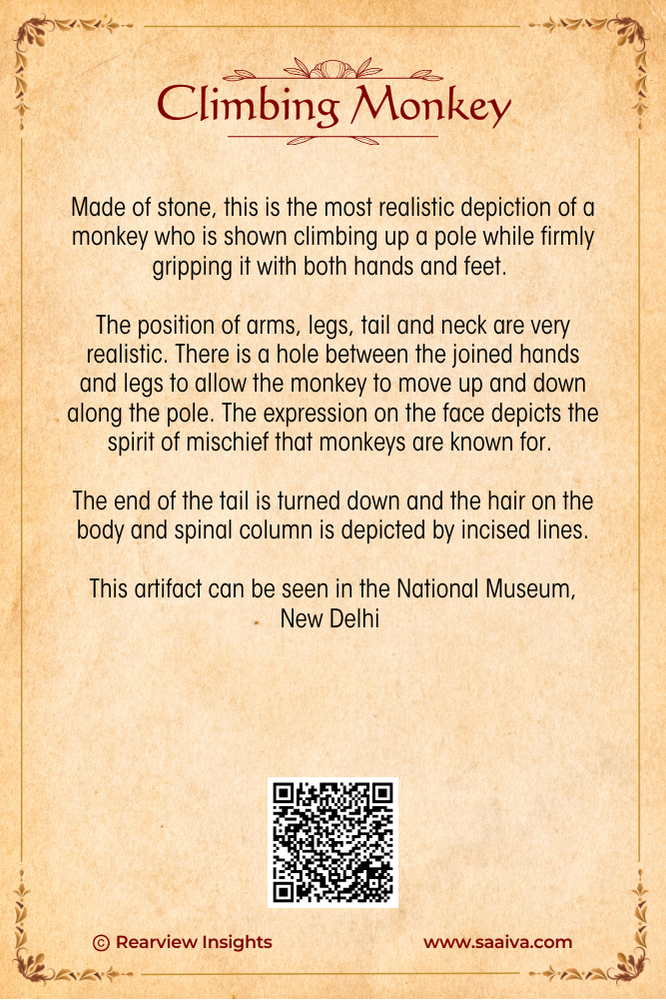Treasures of the Lost Valley: Uncovering Indus Secrets Collection