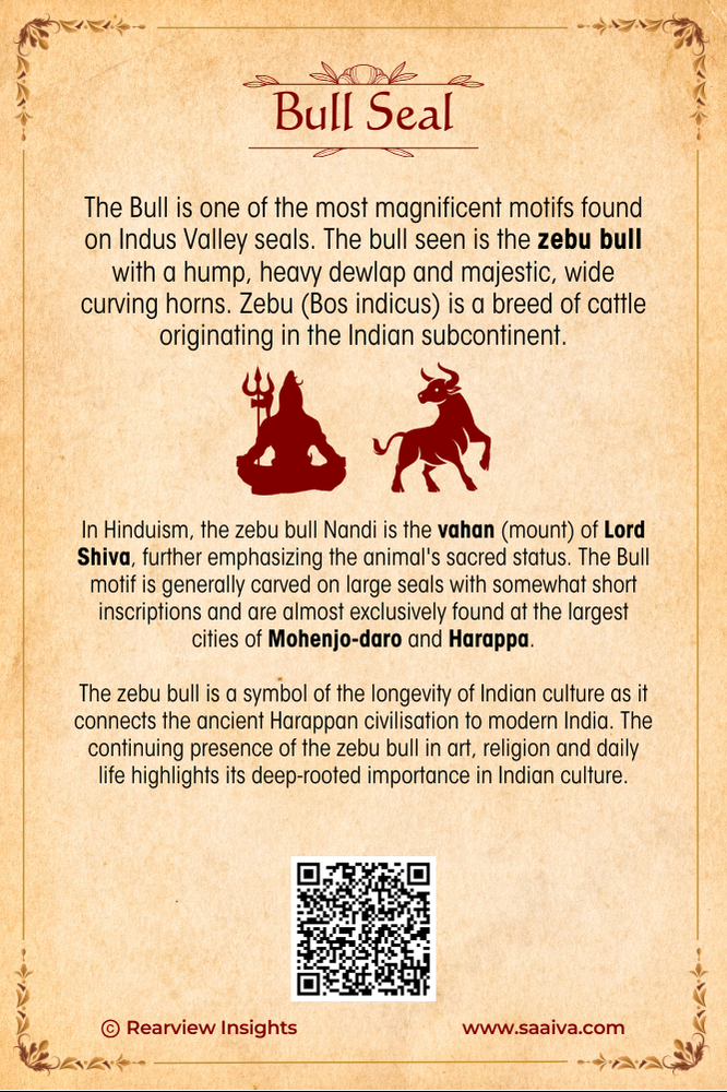 Treasures of the Lost Valley: Uncovering Indus Secrets Collection