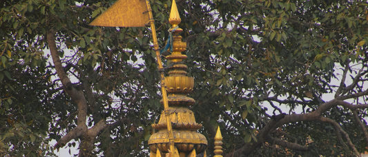 Step Into Eternity: Unveiling the Sacred Splendor of Kashi Vishwanath Temple