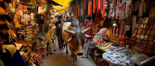 Kashi Walking Tours: Uncover the Magic of Varanasi on Foot