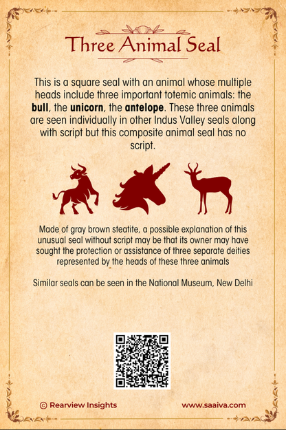 Treasures of the Lost Valley: Uncovering Indus Secrets Collection
