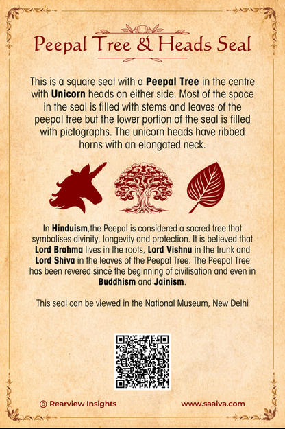 Treasures of the Lost Valley: Uncovering Indus Secrets Collection