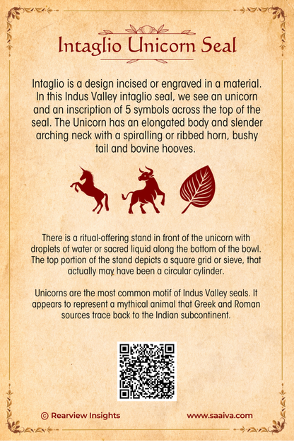 Treasures of the Lost Valley: Uncovering Indus Secrets Collection