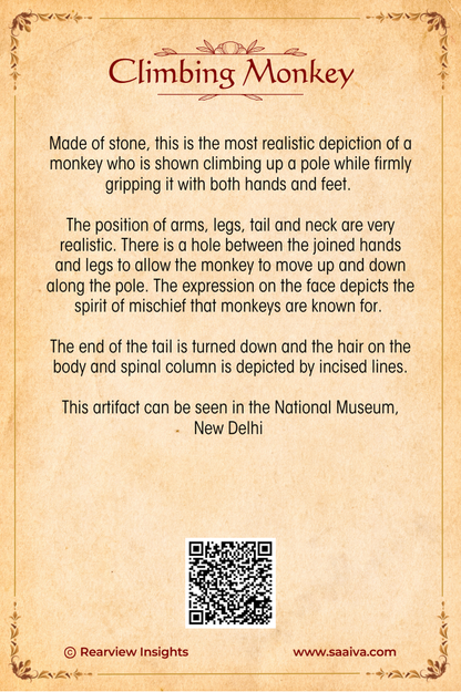 Treasures of the Lost Valley: Uncovering Indus Secrets Collection